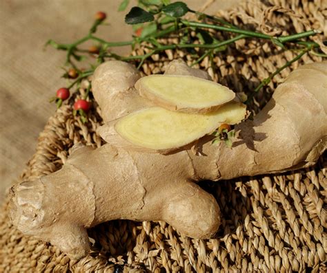 Ginger For Weight Loss Ontrack Health Retreats