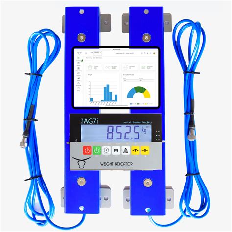 Cattle Scales Agrieid Cattle Scales Au