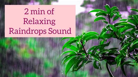 2 Min Of Relaxing Raindrops Sound Youtube