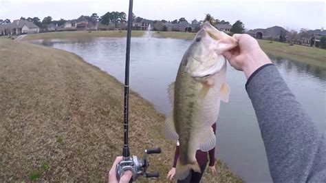 Houston Pond Fishing For Big Bass Youtube