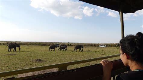 Days Of Amboseli Safari From Mombasa By Train Kenya Safaris