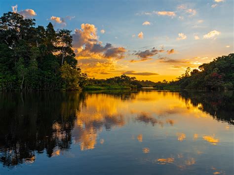 Blog: Brazil Revisited – The Pantanal, Amazon and Rio Coastline