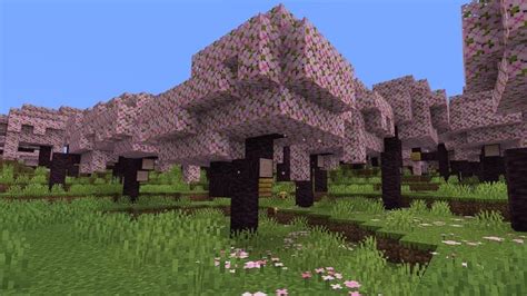 Minecraft 120 Update Brings Cherry Blossom Biome