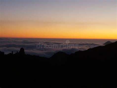 The Cedars of God stock image. Image of north, lebanon - 139306683