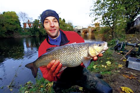 River Fishing Tips Running Or Fixed Feeder For Chub Hadrian