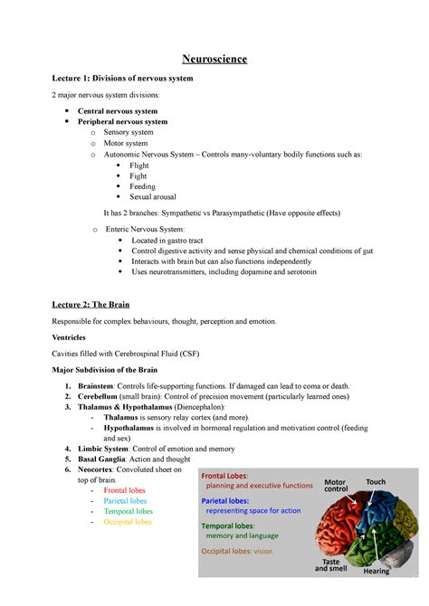 Psyc Notes Note For Final Exam Neuroscience Lecture Divisions Of