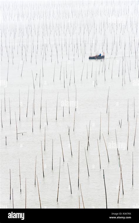 Bamboo Fishing Poles Hi Res Stock Photography And Images Alamy