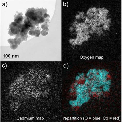 Eftem Images At The Zero Loss A The Oxygen Edge B And The Cadmium