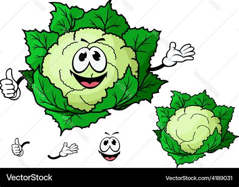 Happy Smiling Cartoon Cauliflower Vegetable Vector Image