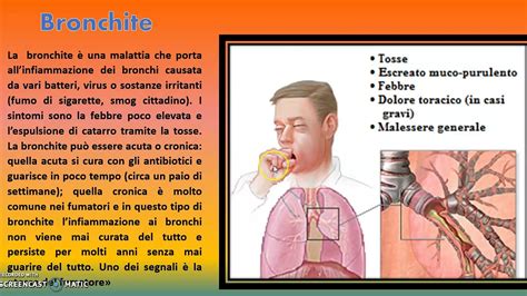 Malattie Dell Apparato Respiratorio YouTube