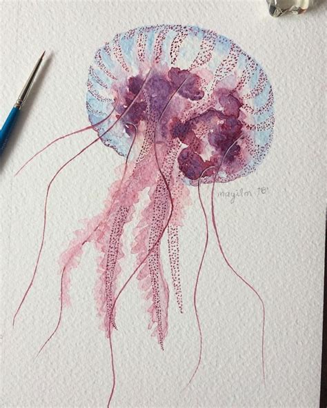 May Meneses On Instagram Jelly Fish Watercolor Watercolors