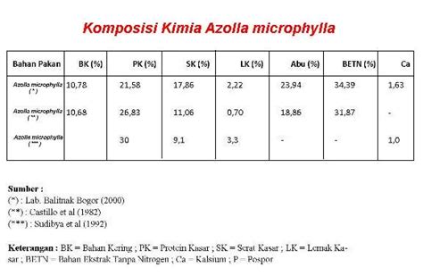 Azolla Tanaman Unik Super Organism Pupuk Bio Organik Ulya Days