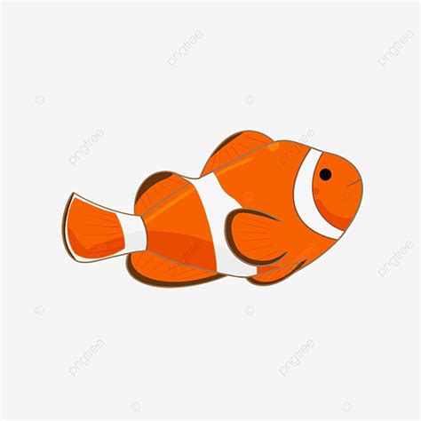 Cute Clown Fish Clipart Transparent PNG Hd, Marine Life Cute Clown Fish Clipart, Color, Pet ...