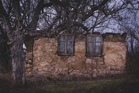 Antiga Casa De Pedra Danificada Cercada Por Floresta Imagem De Stock