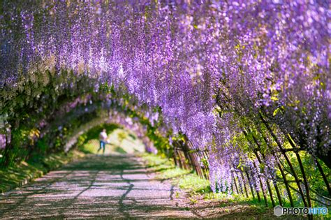 息を呑むほど美しい。一生に一度は行きたい【日本の秘境】9選 キナリノ