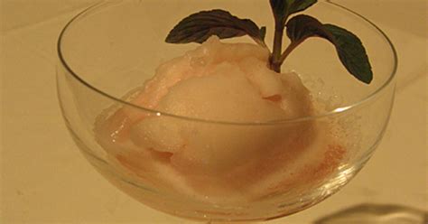 Sorbet Au Champagne Einfach And Lecker Daskochrezeptde