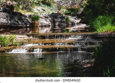 Gentle Flowing Creek Stock Photo 1098549650 Shutterstock