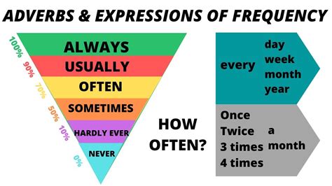 Tomi Digital Adverbs Of Frequency