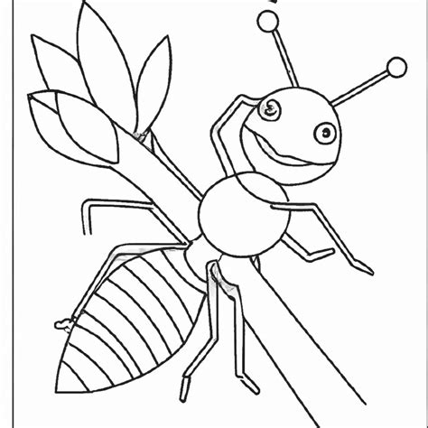 Formiga Colorida Desenho Para Crianças Colorirem Diversão