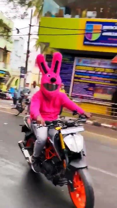 Bunny Helmet Cover Reaction 😸cute Girls ♥️hukum ♥️ktm Saran Op