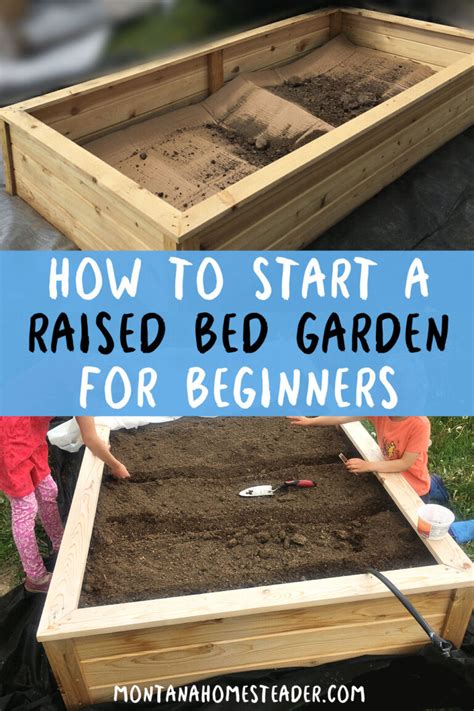 How To Start A Raised Bed Vegetable Garden For Beginners Montana Homesteader