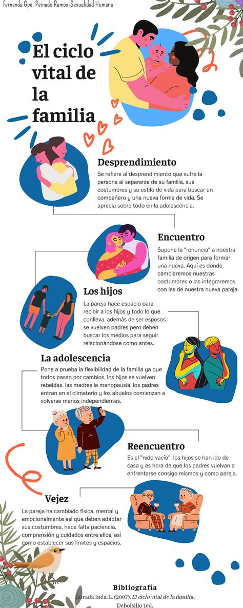 infografía de el ciclo vital de la familia sexualidad humana La