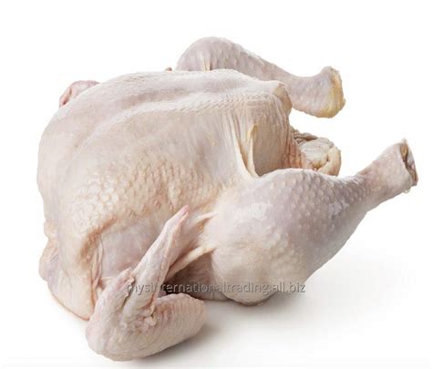 Quality Halal Frozen Whole Chicken Mys International Trade Co Ltd