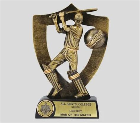 Golden Brass Man Of The Match Cricket Trophy at ₹ 120/piece in New ...