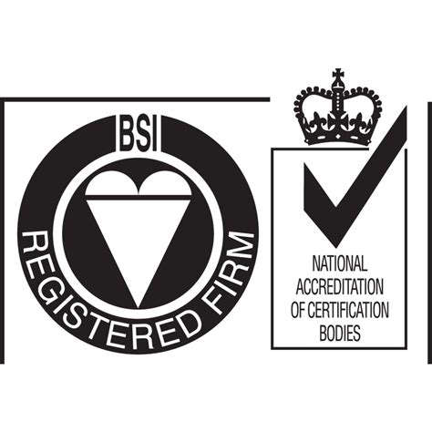 BSI logo, Vector Logo of BSI brand free download (eps, ai, png, cdr ...