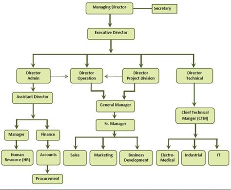 Company Organogram – STERLING Multi – Technologies Limited