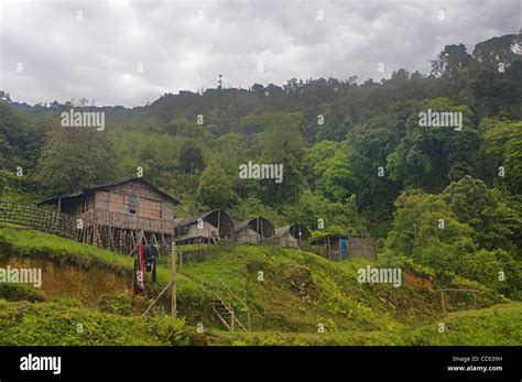 Eagle's Nest Wildlife Sanctuary Stock Photo - Alamy