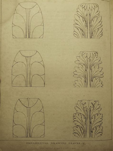 Surface Fragments How To Draw The Acanthus Drawing Shadows Part IV