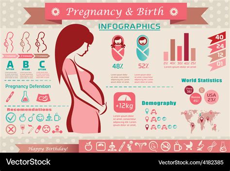 Pregnancy And Birth Infographics Presentation Vector Image