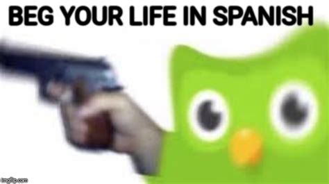 Duolingo Gun Imgflip