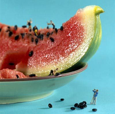 Zoomed In Food Art - Gallery | eBaum's World