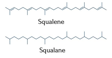 The Formulator's Guide to Squalene and Squalane - Formula Botanica