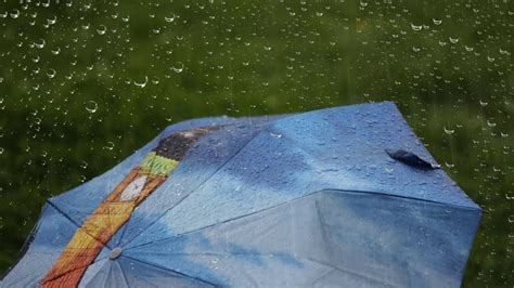 Regenger Usche Auf Regenschirm Im Stunden Regen Zum Einschlafen Und