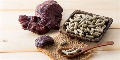 The Advantages Of Mushroom Capsules For Your Health Nuviamayorga