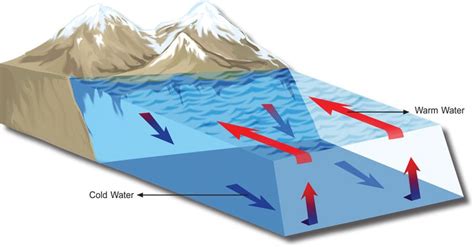 What Causes Ocean Currents? - Sawan Books