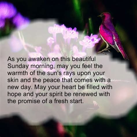 Bestdailyprayer 40 Sunday Blessings For A Positive And Happy Day