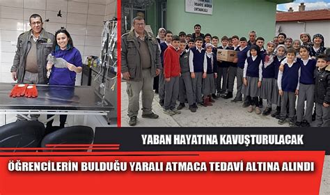 ÖĞRENCİLERİN BULDUĞU YARALI ATMACA TEDAVİ ALTINA ALINDI ASAYİŞ