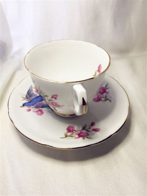 Royal Stafford Bird Series Blue Bird Tea Cup And Saucer Set Etsy