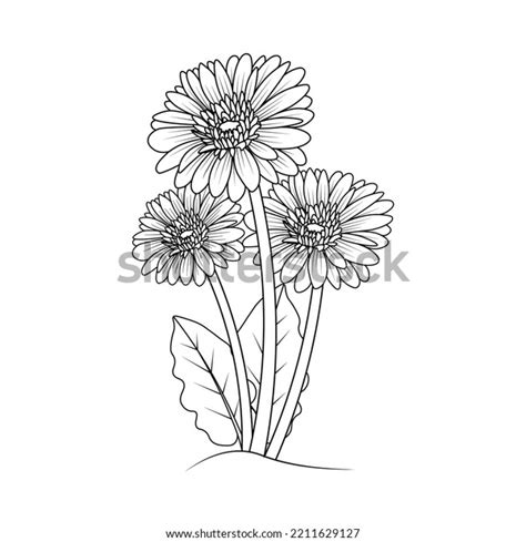 Beautiful Flowers Gerbera Daisy Coloring Page Stock Vector Royalty