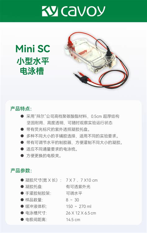 Mini Sc型 浸没式水平电泳槽 北京凯元信瑞仪器有限公司