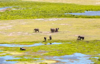 Destinations Kenya 6 Day Mara Amboseli Safari With Porini