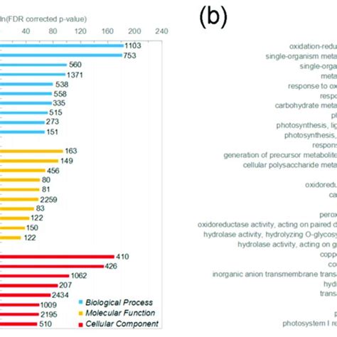 Gene Ontology Go Classification Of The Differentially Expressed Genes Download Scientific