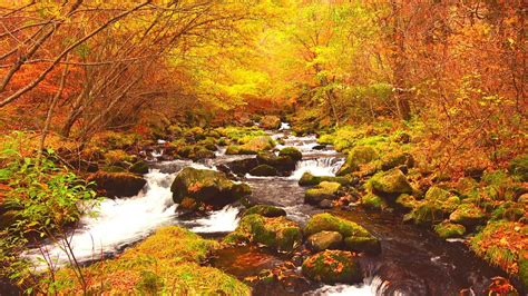 4k映像 絶景紅葉「蓼科高原の秋 紅葉の滝ノ湯川・蓼科大滝」日本の美しい四季 長野県茅野市 10月下旬 自然風景 Youtube