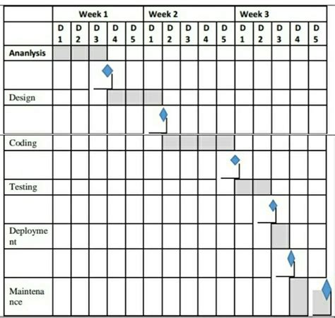 Can Any Help Me Out As Tomorrow Is My Final Exam Prepare Macro Timeline