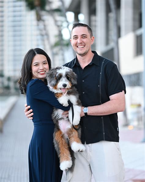 Bernedoodle Grooming 101 | A Complete Guide Hoosier Canines