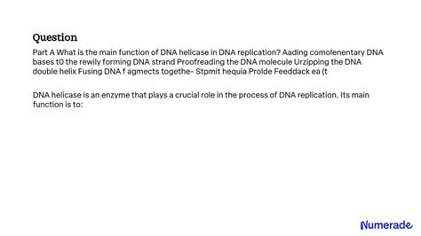 Solved What Is The Main Function Of Dna Helicase In Dna Replication